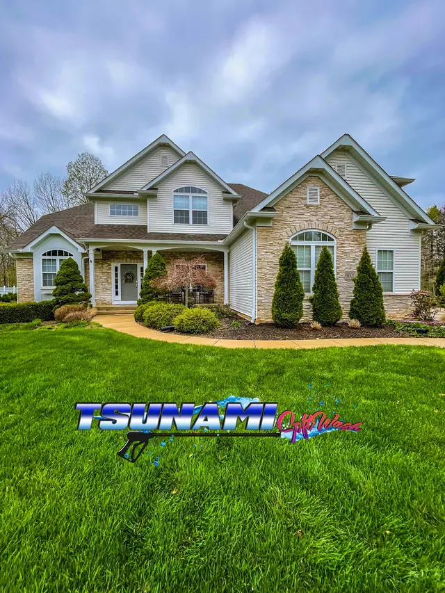 Tsunami Softwash Pro — photo from the business 1