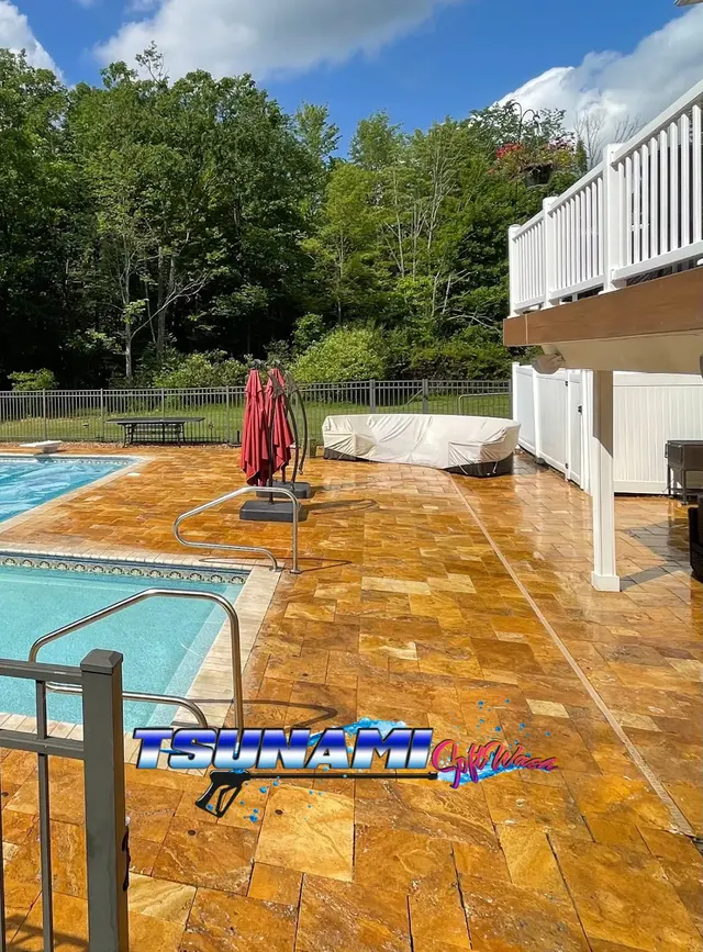 Tsunami Softwash Pro — photo from the business 6