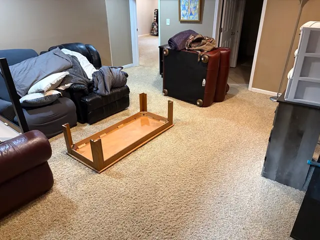 Oxi Fresh Carpet Cleaning — customer photo 4