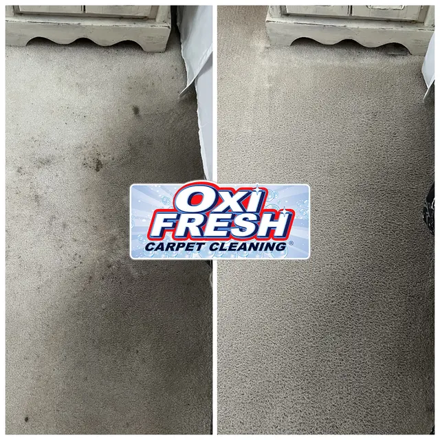 Oxi Fresh Carpet Cleaning — photo from the business 12