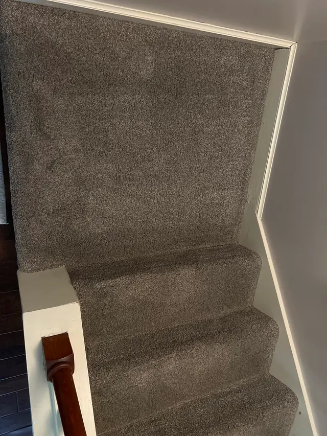 Oxi Fresh Carpet Cleaning — customer photo 5
