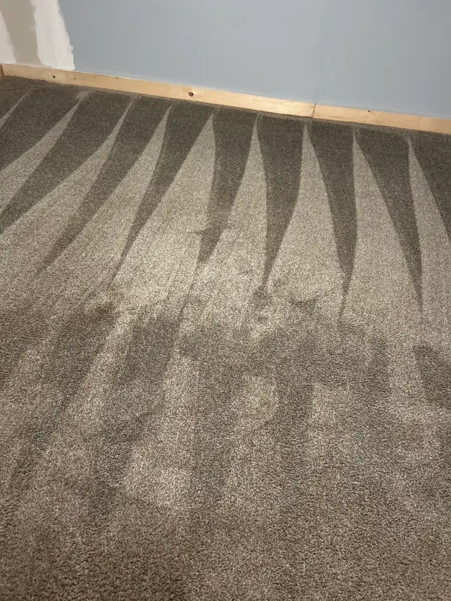 Oxi Fresh Carpet Cleaning — customer photo 10