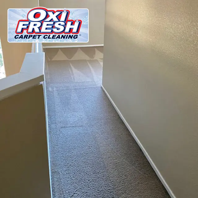 Oxi Fresh Carpet Cleaning — photo from the business 11