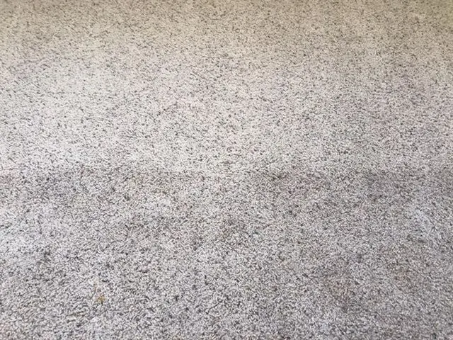 Your Friend Kenny Steam Cleaning — photo from the business 11