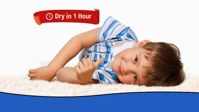 Heaven's Best Carpet Cleaning — photo from the business 1