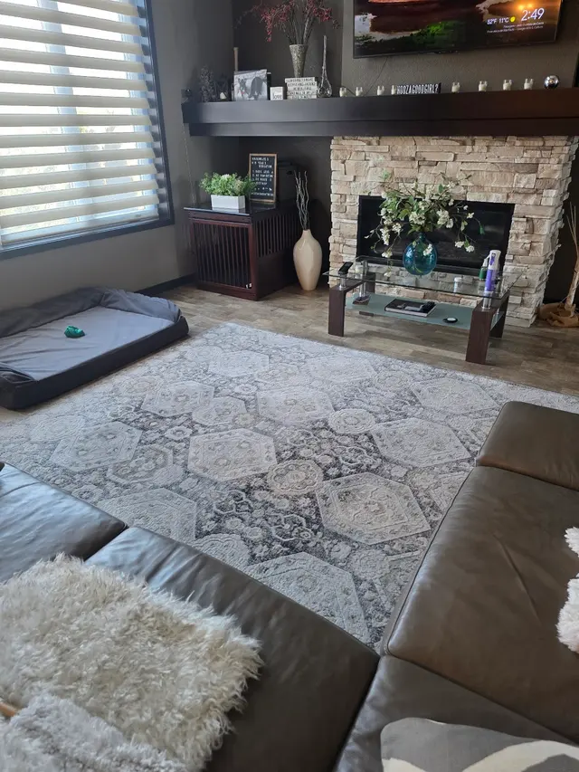 Superior Steam Cleaning — customer photo 12