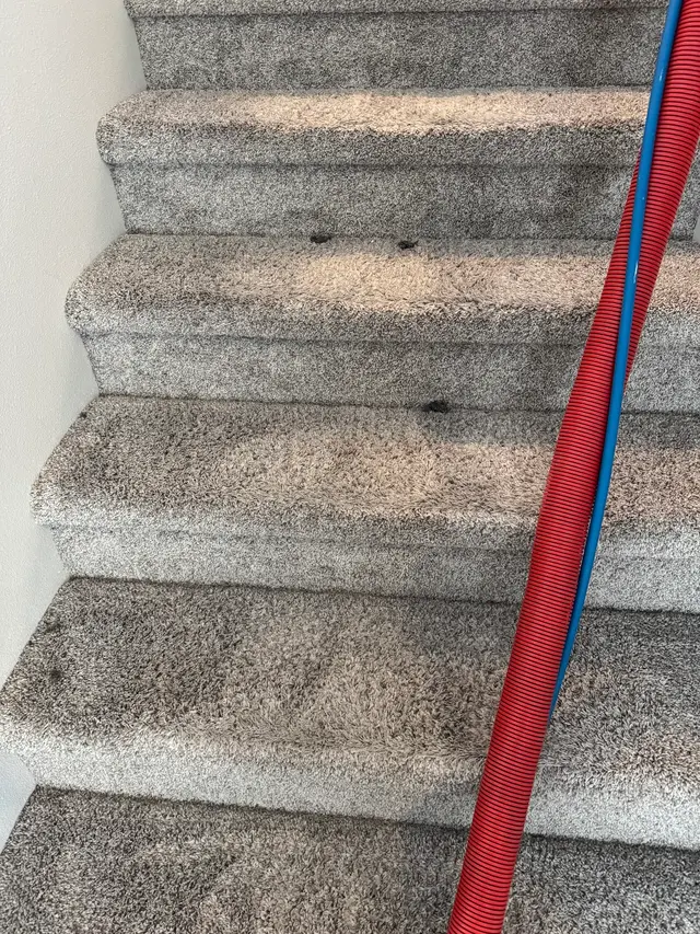 Superior Steam Cleaning — customer photo 11