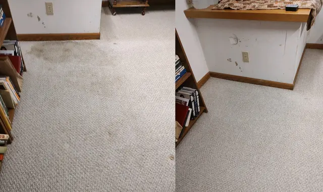 Superior Steam Cleaning — customer photo 5