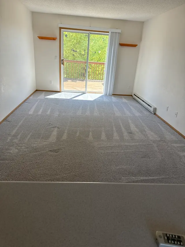Superior Steam Cleaning — customer photo 9
