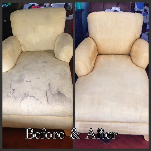 Steam Masters Carpet Cleaning — photo from the business 10