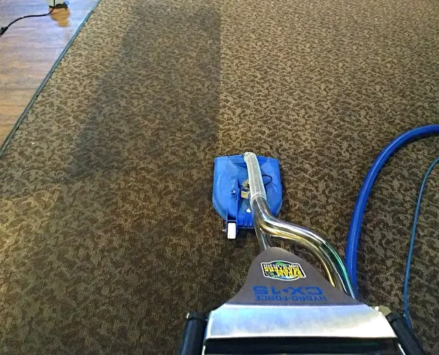 Steam Masters Carpet Cleaning — photo from the business 1