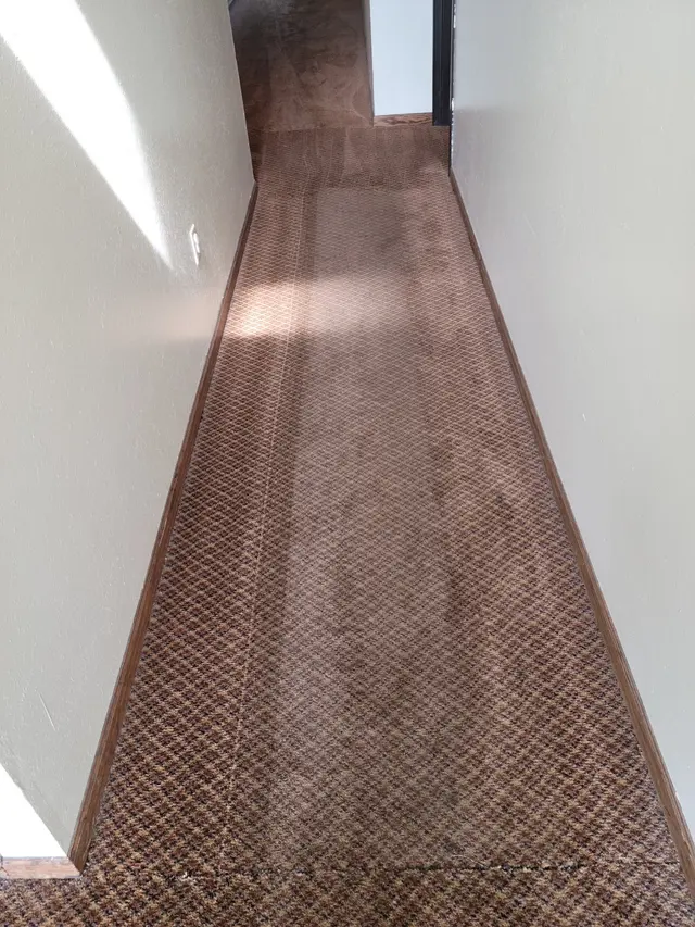Kleen-Way Carpet Cleaners — photo from the business 4