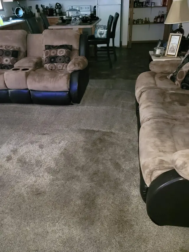 Kleen-Way Carpet Cleaners — photo from the business 9