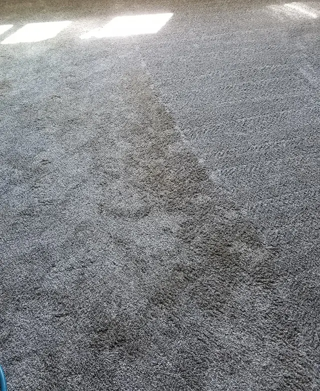 Kleen-Way Carpet Cleaners — photo from the business 10