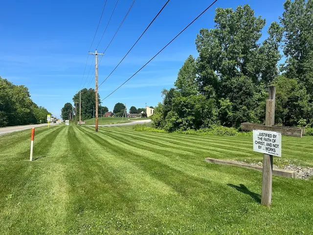Brandon's Lawn Service, LLC — photo from the business 5
