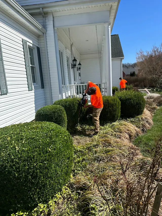 Brandon's Lawn Service, LLC — photo from the business 4
