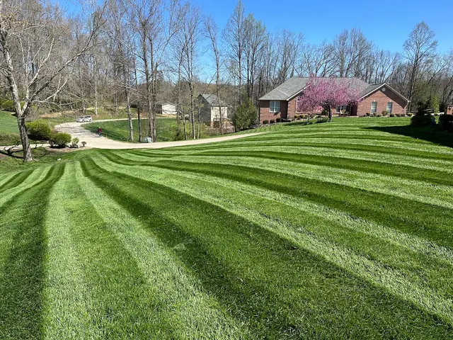 Brandon's Lawn Service, LLC — photo from the business 3
