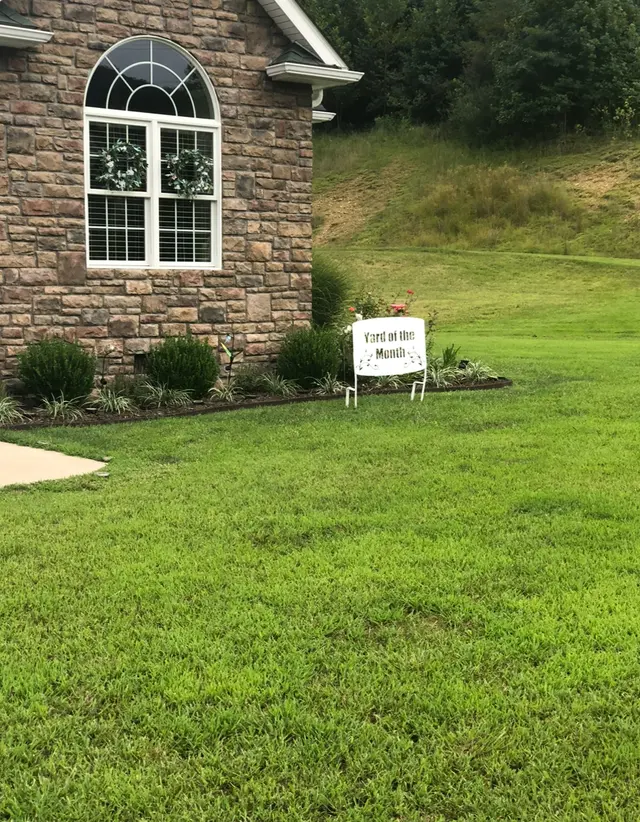 TruGreen Lawn Care — customer photo 5