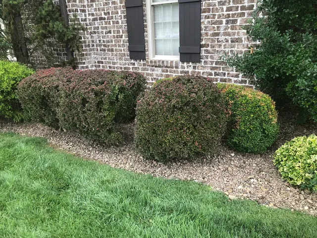 Customer photo from Aaron's review