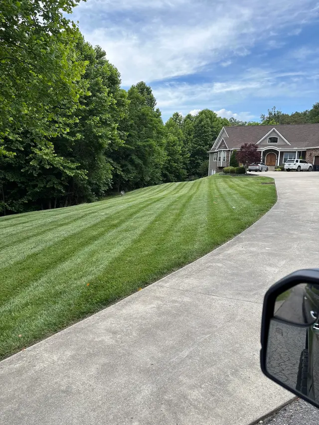 TruGreen Lawn Care — customer photo 3