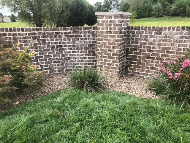 TruGreen Lawn Care — customer photo 7
