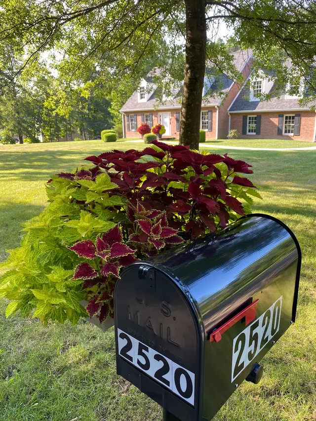 TruGreen Lawn Care — customer photo 8