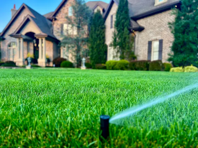 TruGreen Lawn Care — customer photo 12