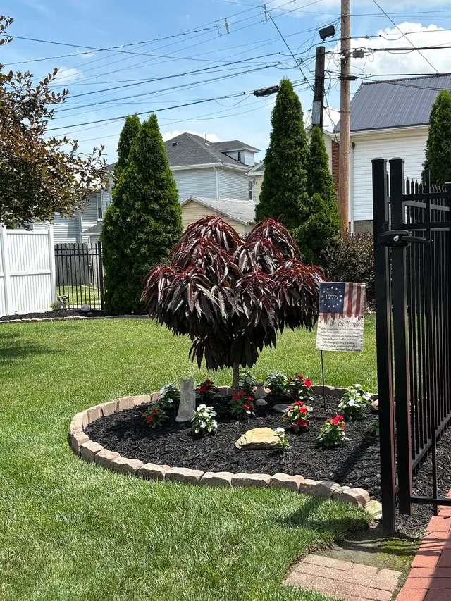 TruGreen Lawn Care — customer photo 10