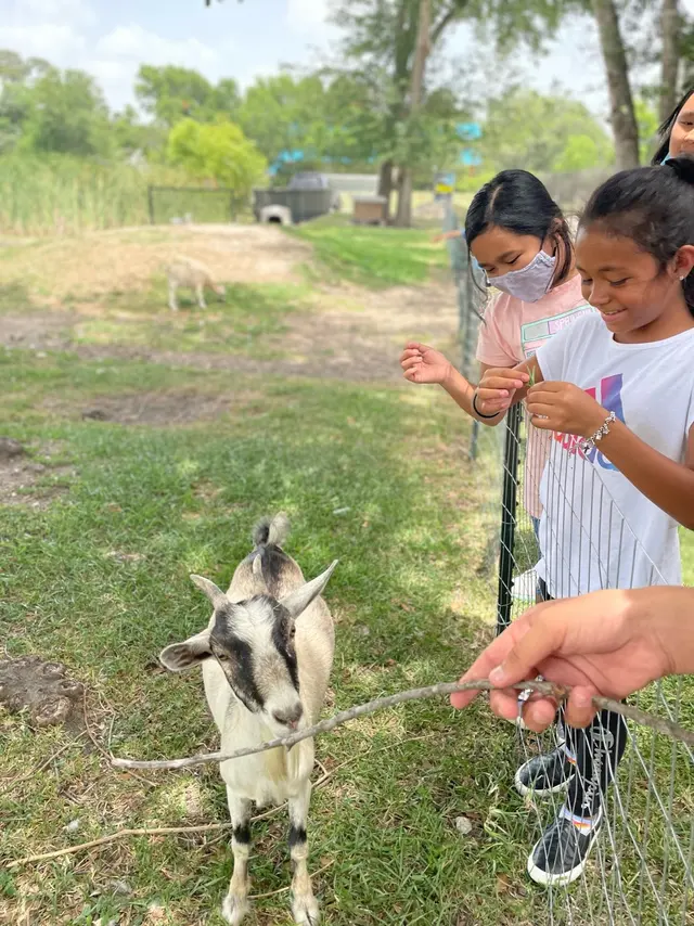 Spring Branch After-School MA — photo from the business 5