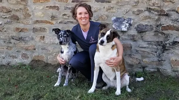 Taylor Crossing Animal Hospital — photo from the business 2