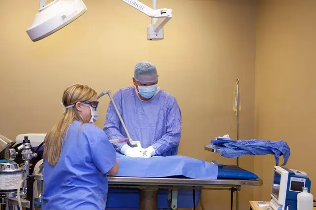 Taylor Crossing Animal Hospital — photo from the business 12