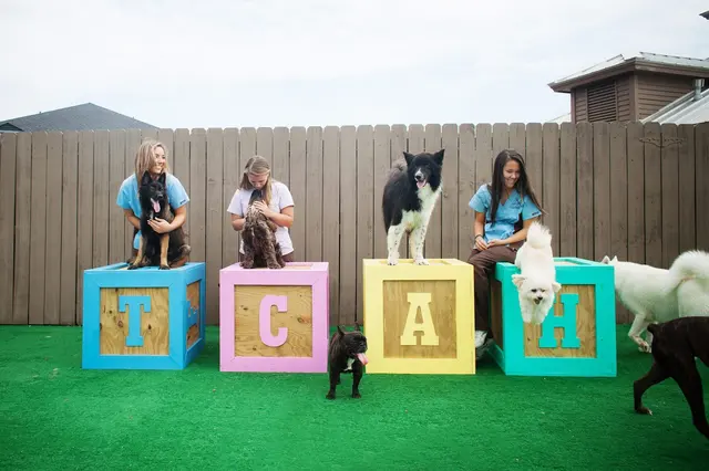 Taylor Crossing Animal Hospital — photo from the business 8