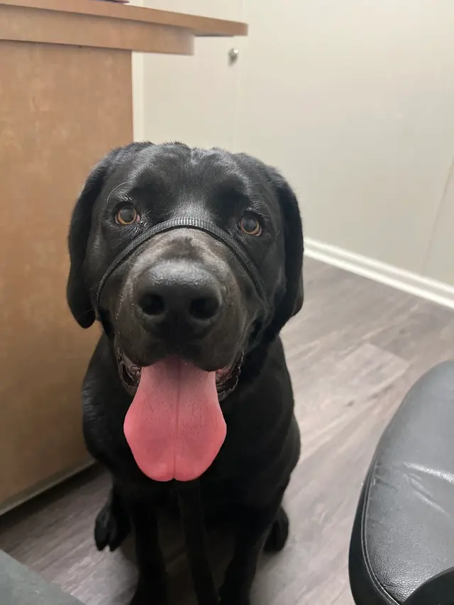 Montgomery Veterinary Associates - Carter Hill Road — customer photo 5