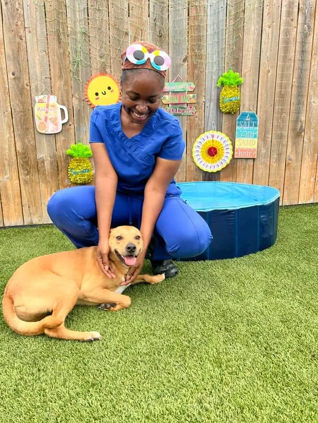 Montgomery Veterinary Associates - Vaughn Road — customer photo 10