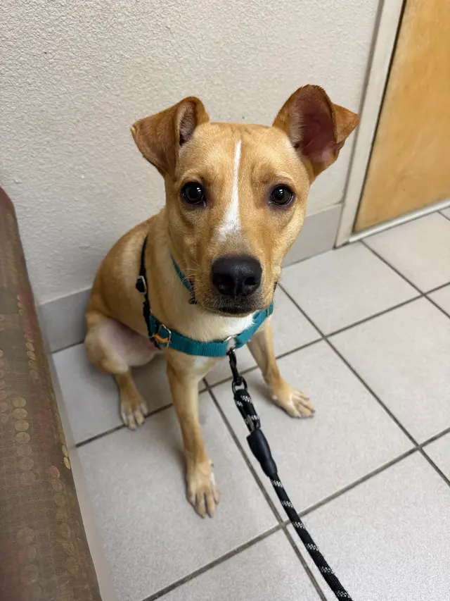 Ark Animal Hospital — customer photo 10