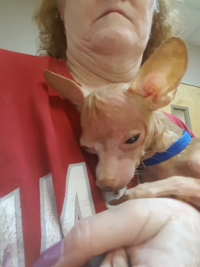 Ark Animal Hospital — customer photo 11