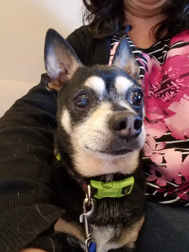Ark Animal Hospital — customer photo 2