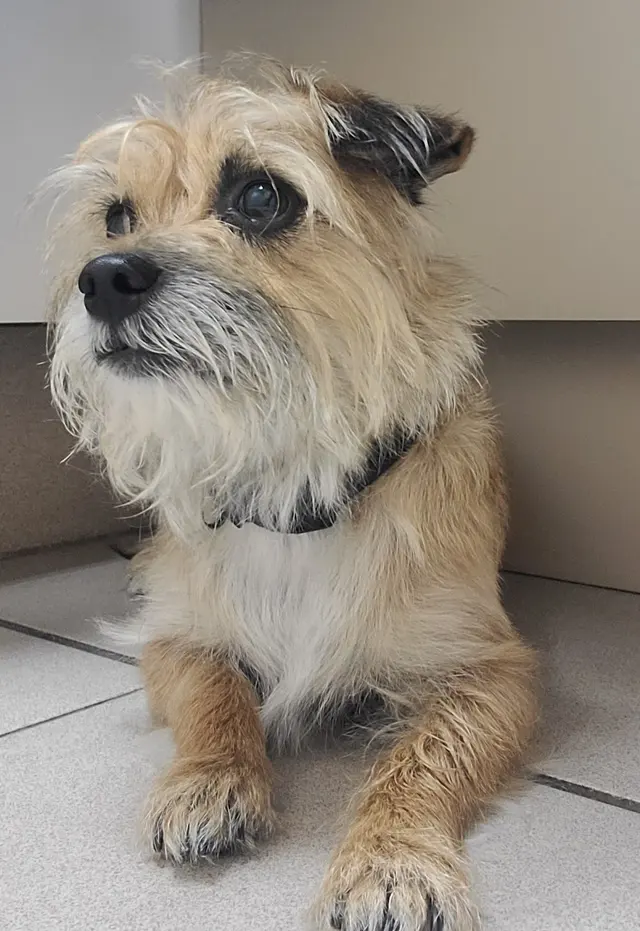 Ark Animal Hospital — customer photo 7