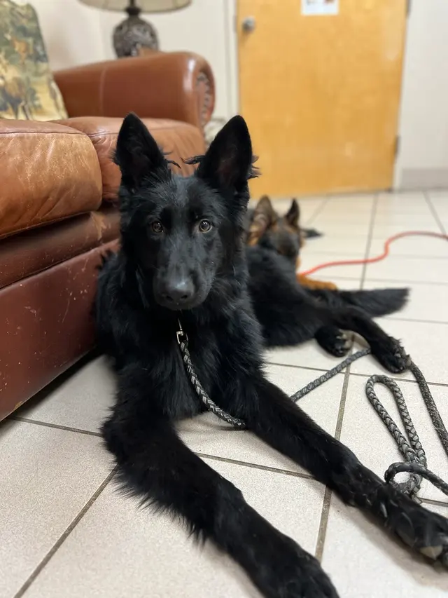Ark Animal Hospital — customer photo 4