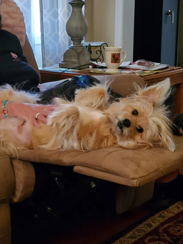 Ark Animal Hospital — customer photo 5
