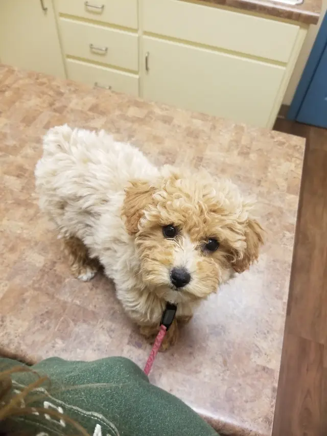 All Creatures Animal Hospital — customer photo 6