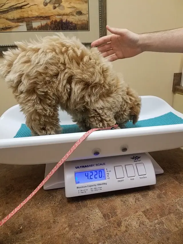 All Creatures Animal Hospital — customer photo 8