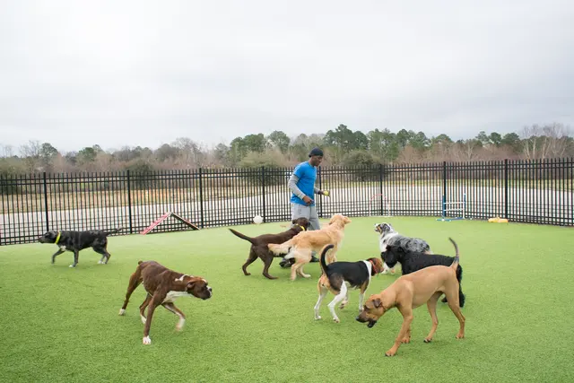 Goodwin Animal Hospital at Pike Road — photo from the business 2