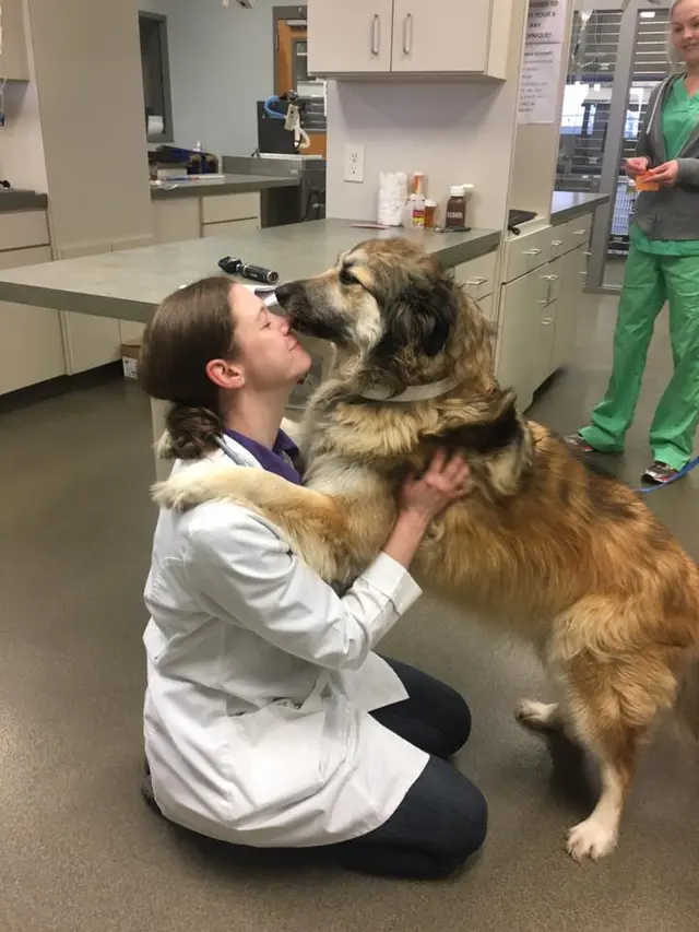Goodwin Animal Hospital at Pike Road — photo from the business 9