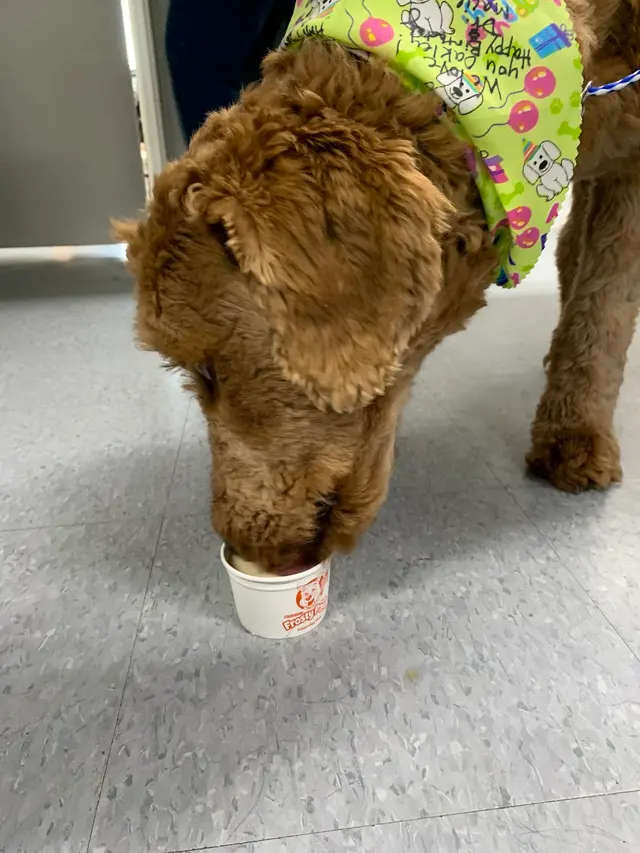 Animal Care Center — photo from the business 12