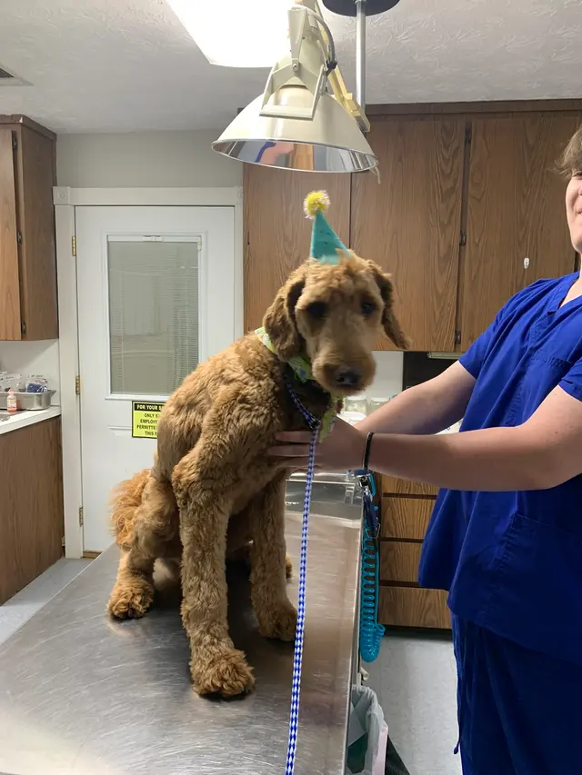 Animal Care Center — photo from the business 10