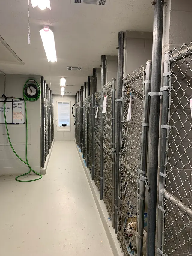 Animal Care Center — photo from the business 7