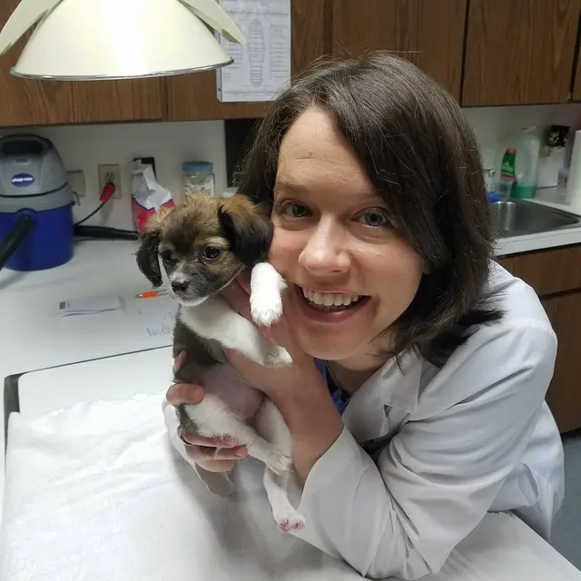 Animal Care Center — photo from the business 3