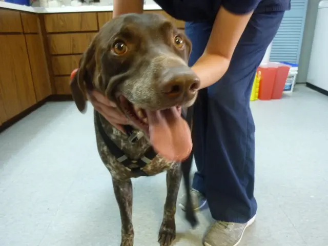 Animal Care Center — photo from the business 4