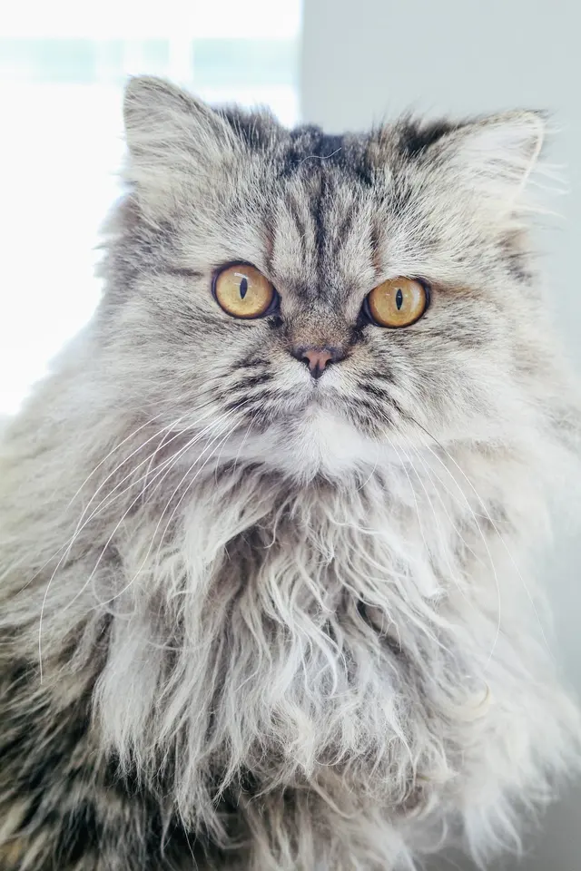 Animal Care Center — photo from the business 8